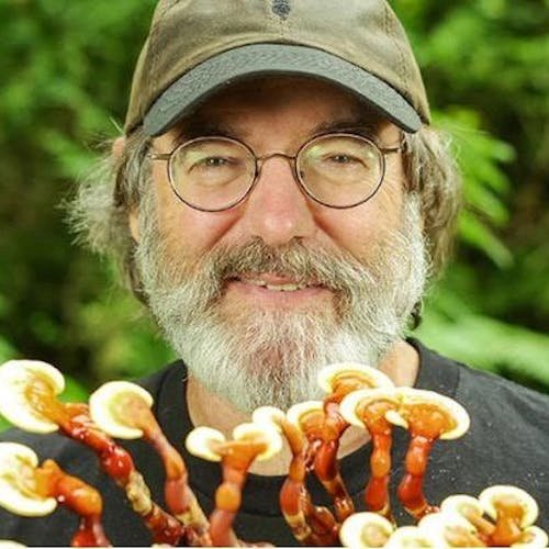 Paul Stamets